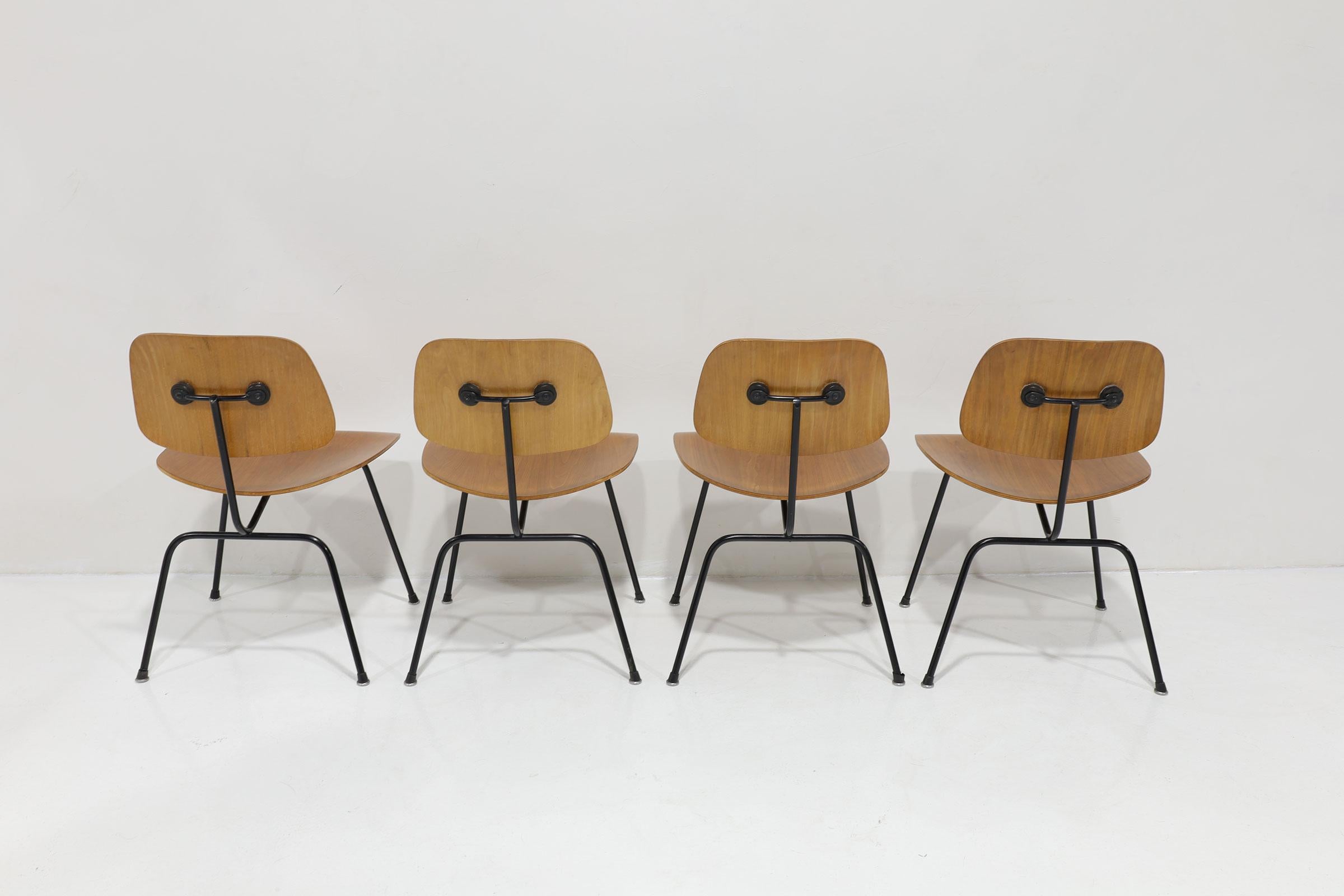 Mid-Century moderno Sedie DCM di Herman Miller in noce e telaio nero in vendita