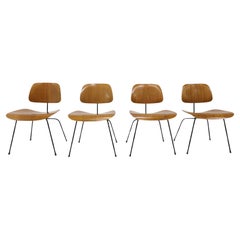 Eames Herman Miller DCM Chairs in Walnut and Black Frames