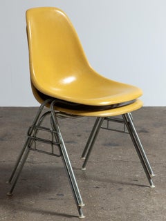 Eames Herman Miller DSS Ochre Yellow Mustard Vintage  Fiberglass Shell Chairs