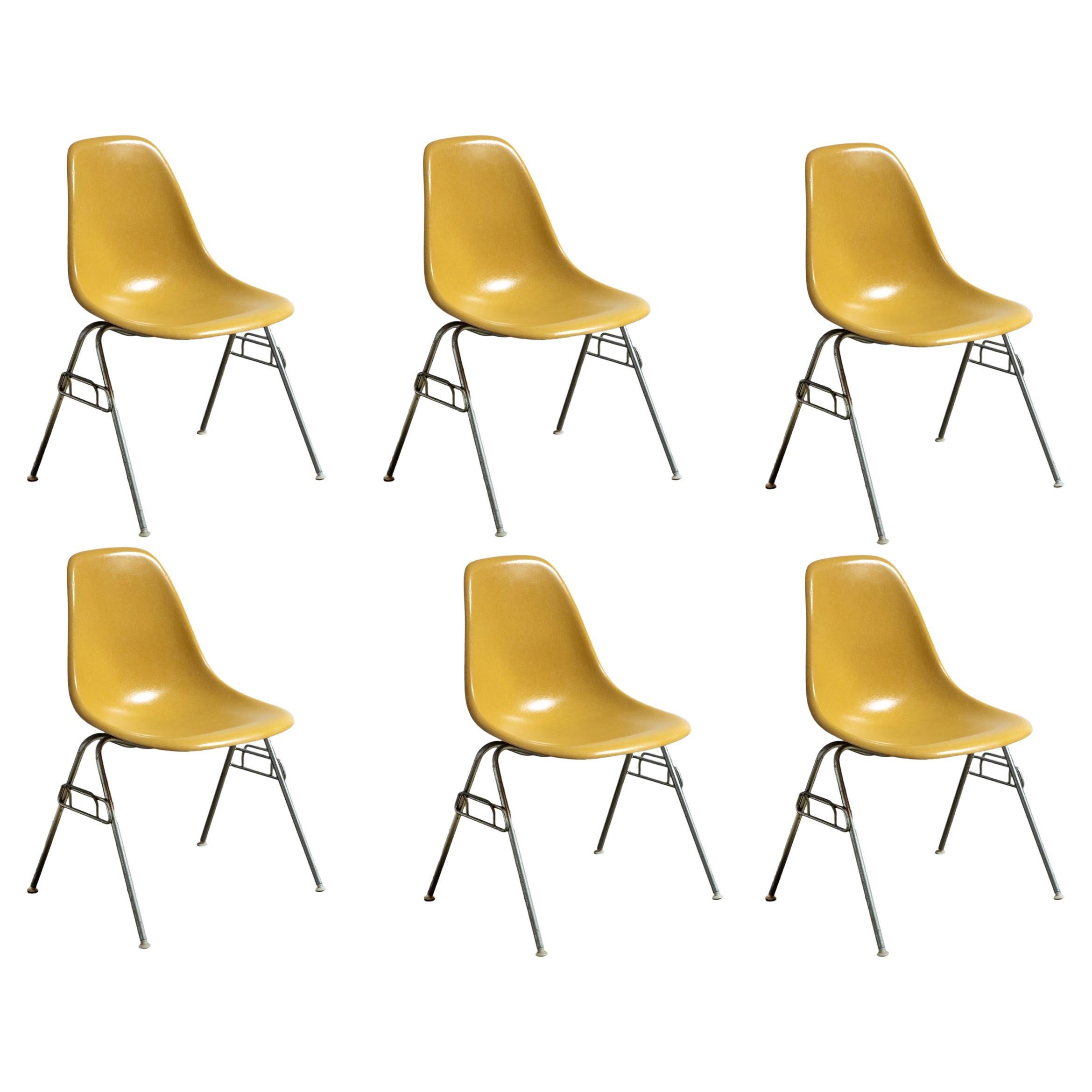 Eames Herman Miller DSS jaune ocre moutarde vintage  Chaises à coque en fibre de verre