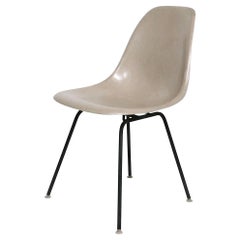 Dining Room Chairs