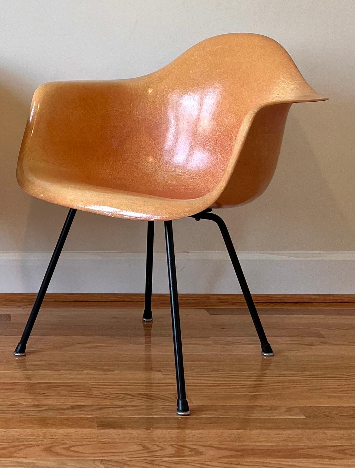Eames Max

The original first generation of chairs released in 1950 had 3 Size options which were DAX (Dining), Standard (SAX) and Low (LAX). With only a 1-inch difference between the SAX and DAX the choice was refined to 2 sizes in 1953, keeping