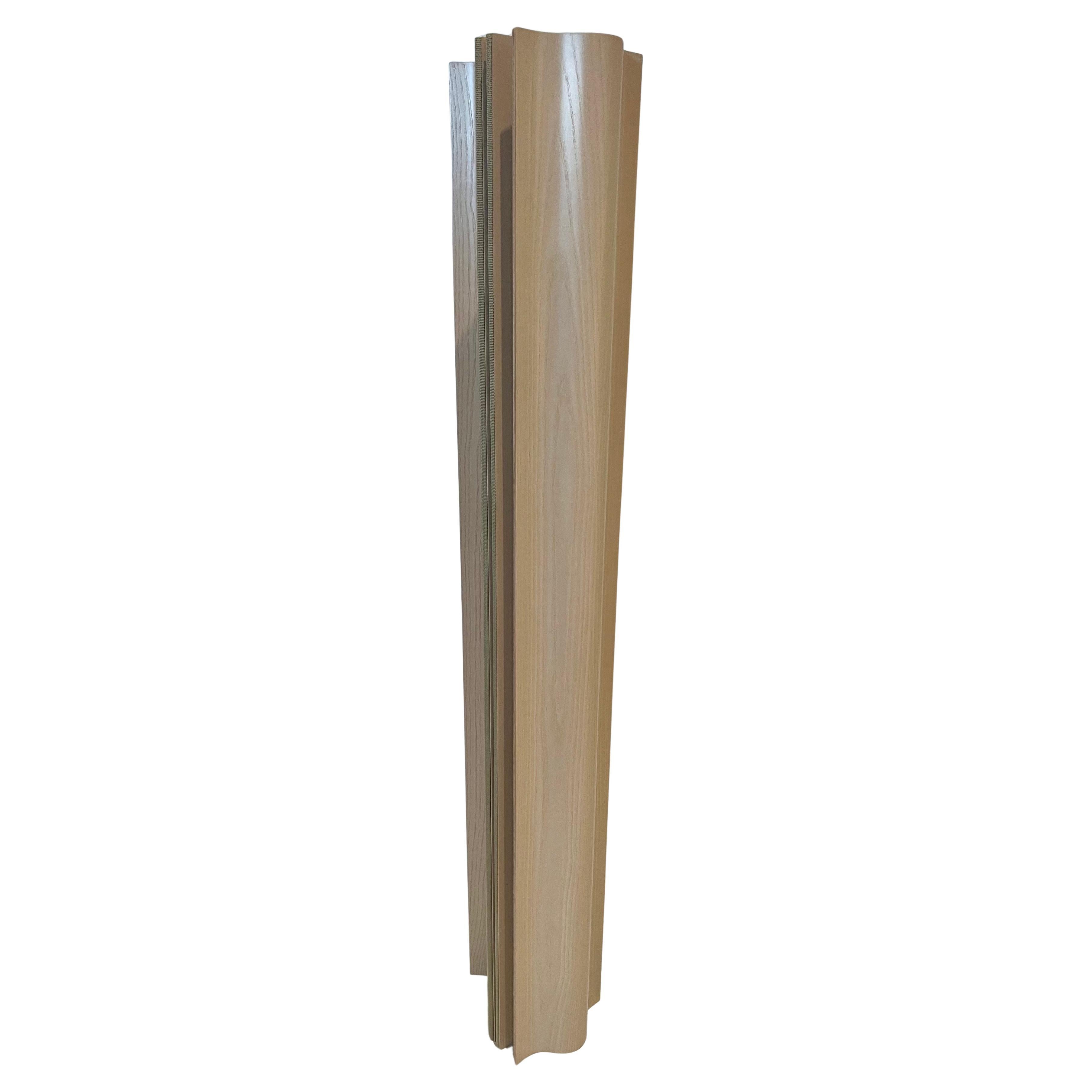 Nei loro primi esperimenti con il compensato stampato, Charles e Ray Eames iniziarono a concepire strutture indipendenti. L'idea si concretizzò nell'Eames Molded Plywood Folding Screen (1946), uno schermo portatile e pieghevole destinato a dividere