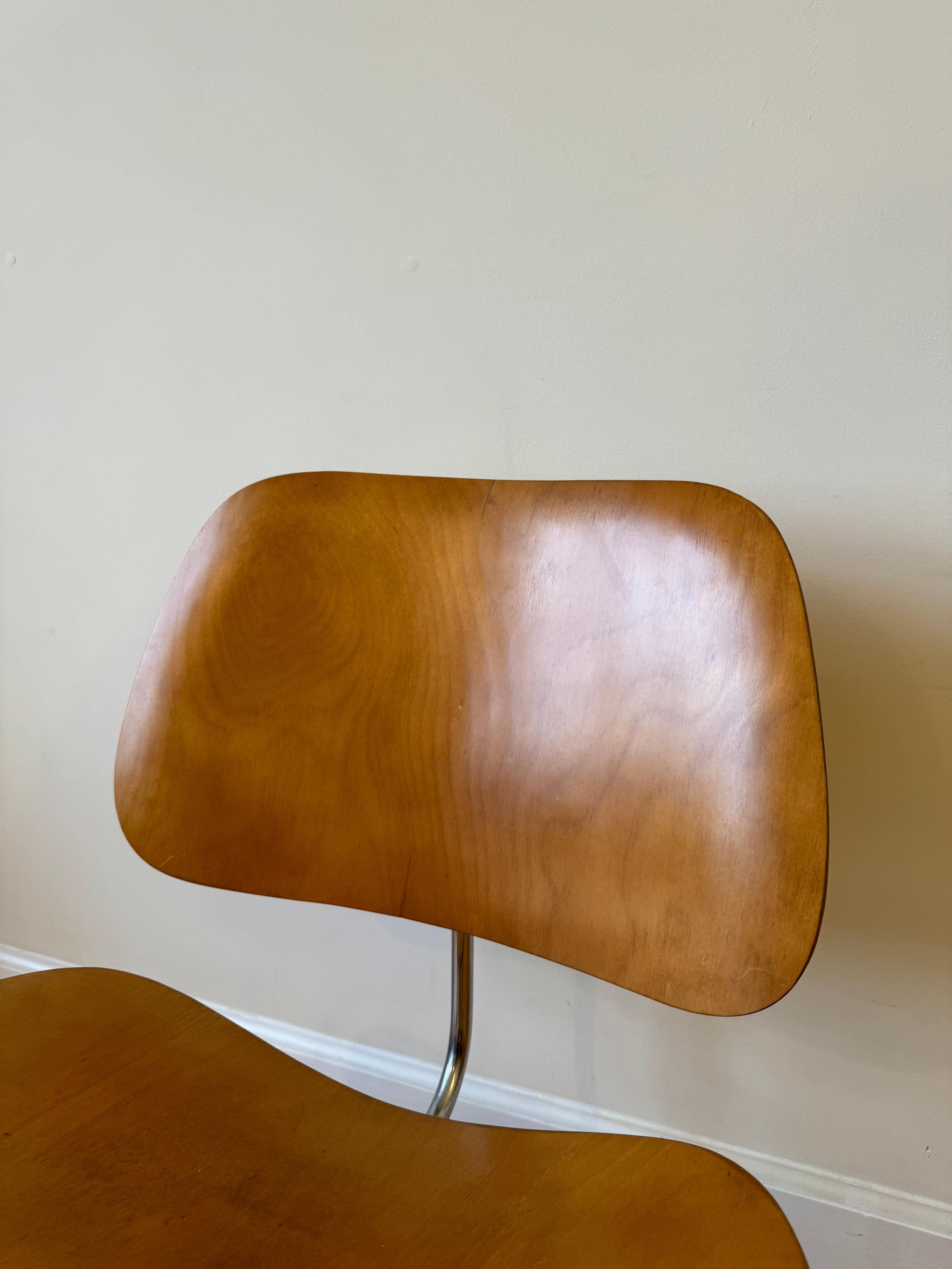 Eames Molded Plywood Lounge Chair Metallgestell (LCM), 1950er Jahre im Angebot 1