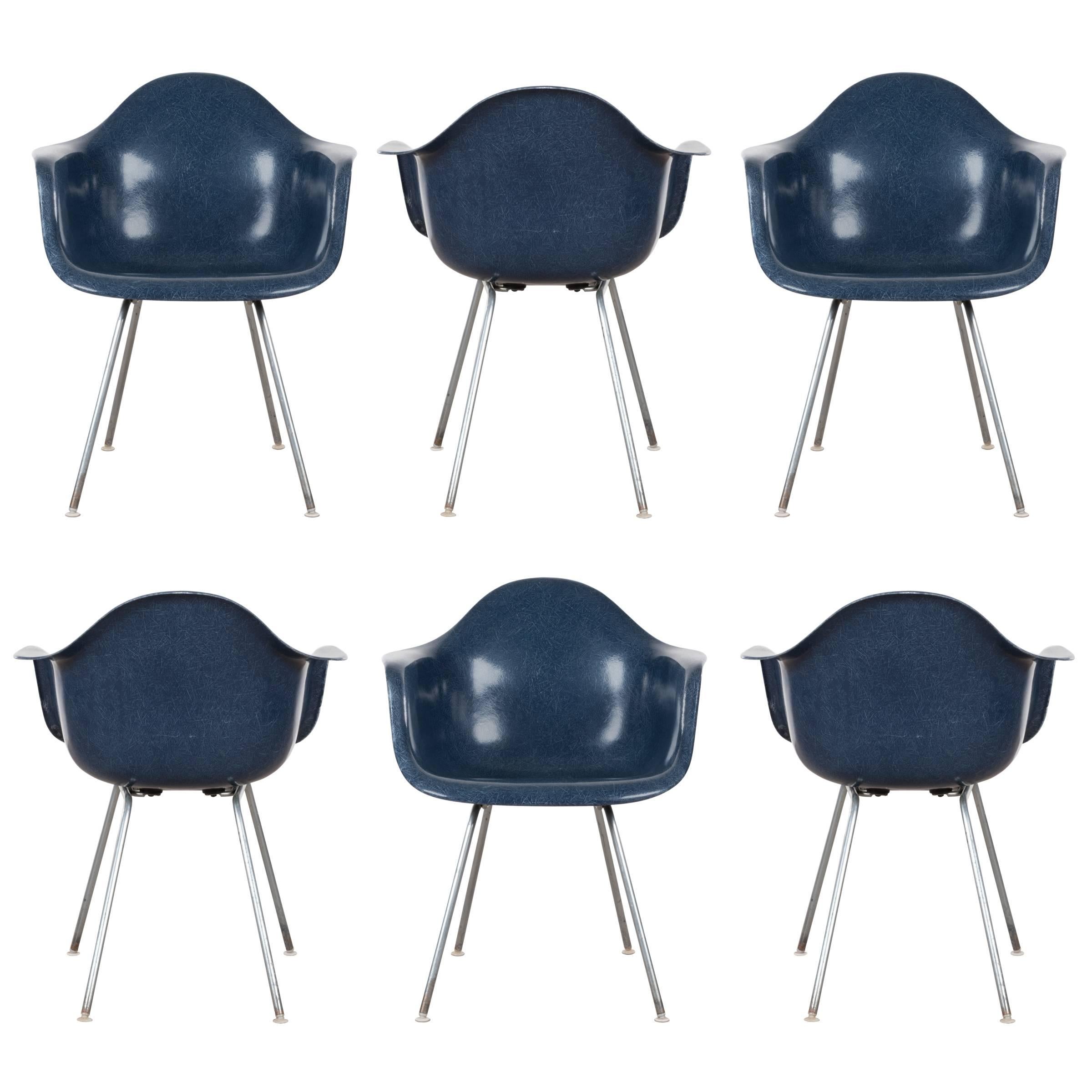 Eames Navy Blue Dax Dining Chair for Herman Miller, 1960s