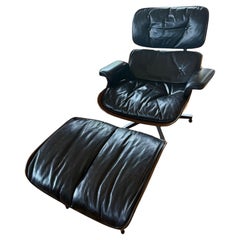 Lounge Chairs