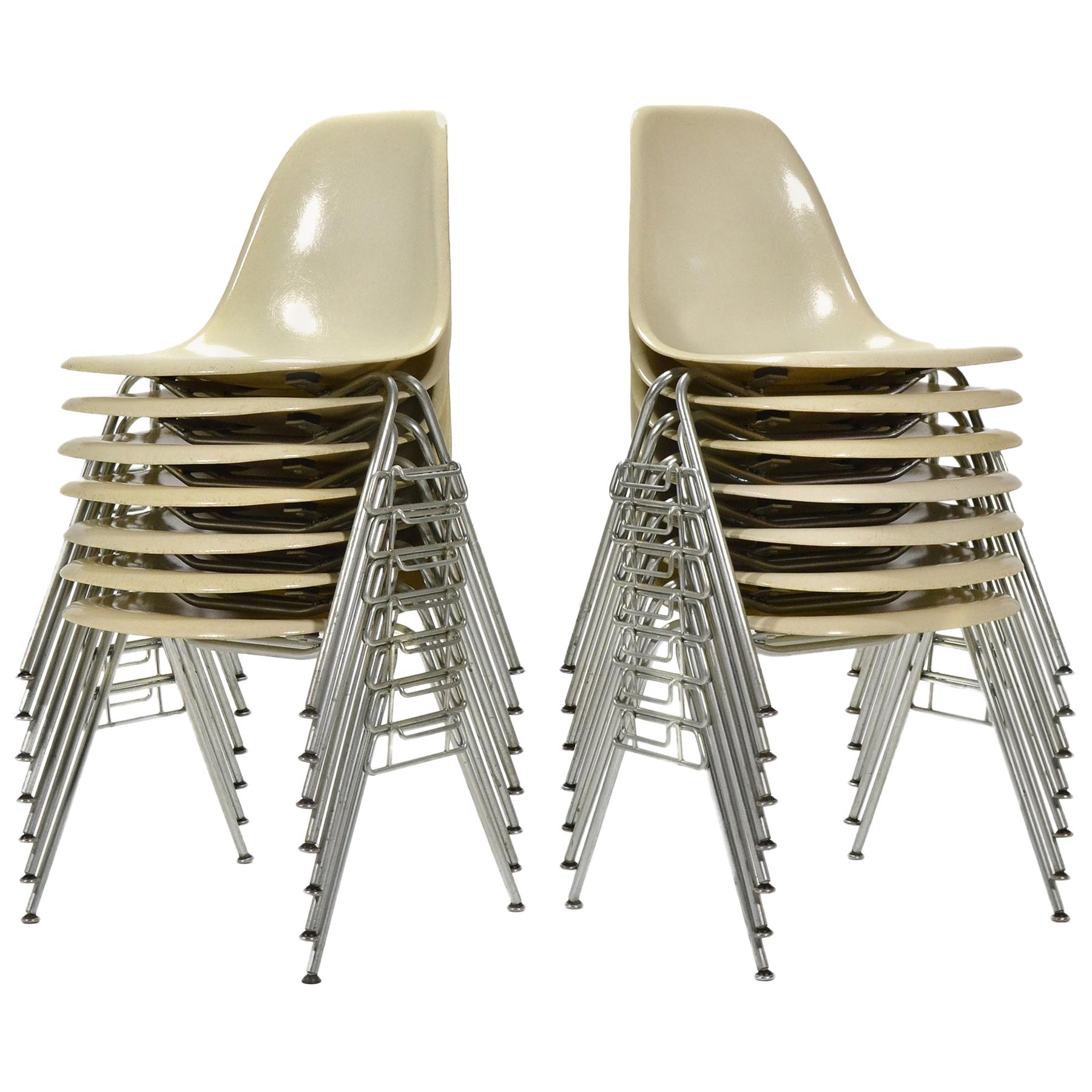 Jeu de 14 chaises d'appoint Eames en fibre de verre DSS