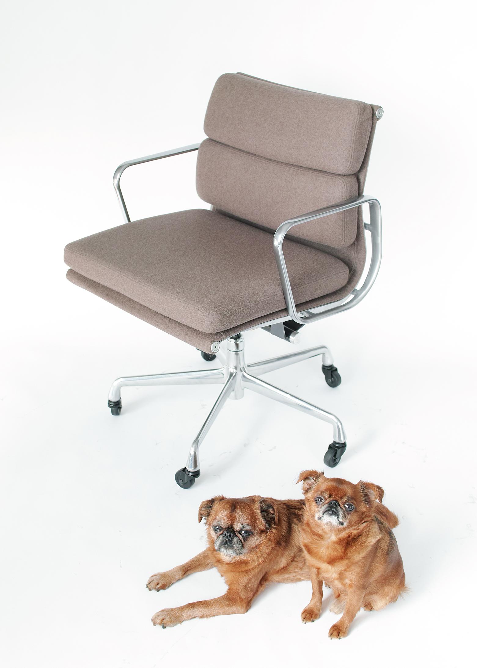 Eames Soft Pad Aluminum Group Chair 9