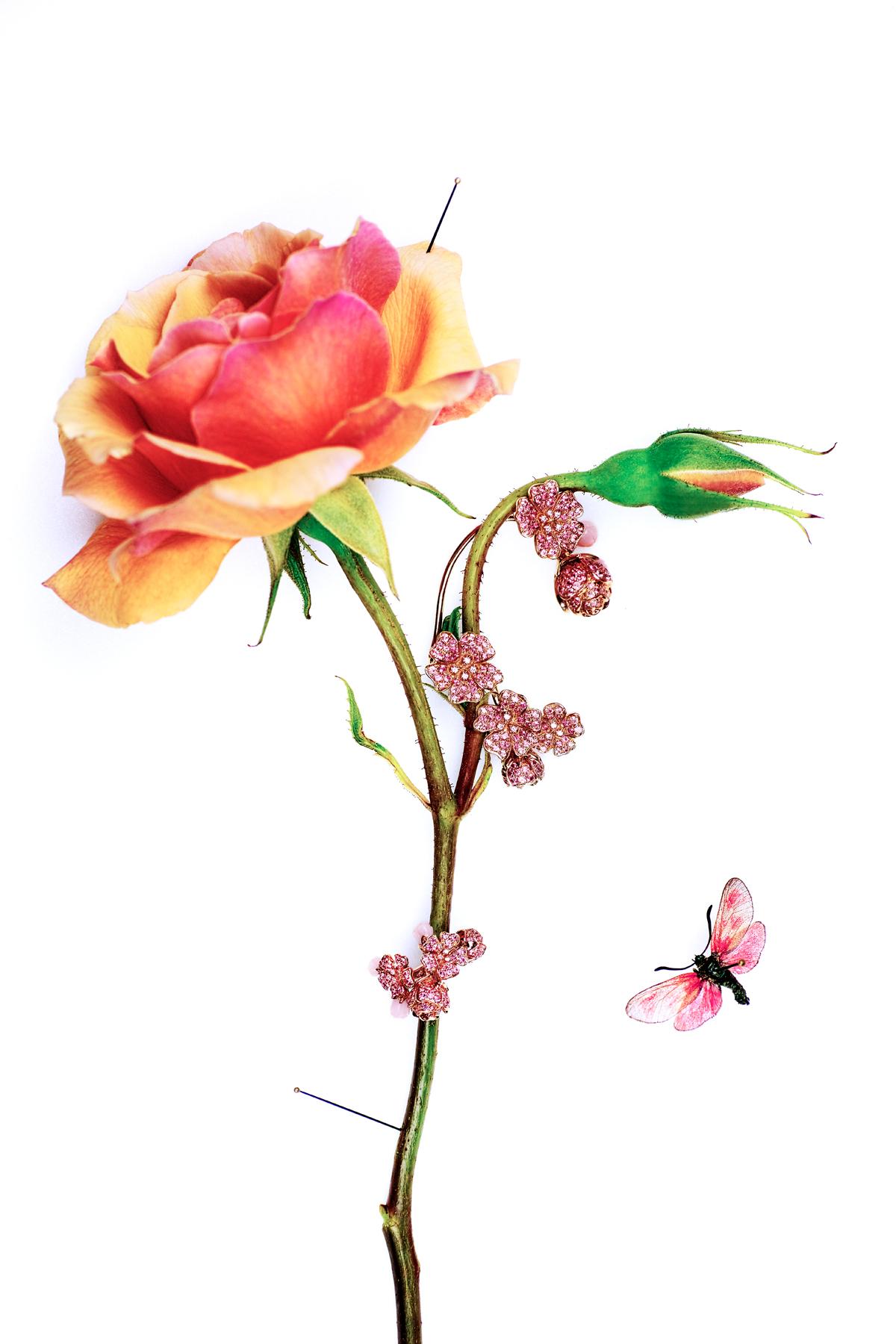 Brilliant Cut Ear Cuff Cherry Blossom Bouquet - 18k Gold, Sapphires, Diamonds, Pink Opal For Sale