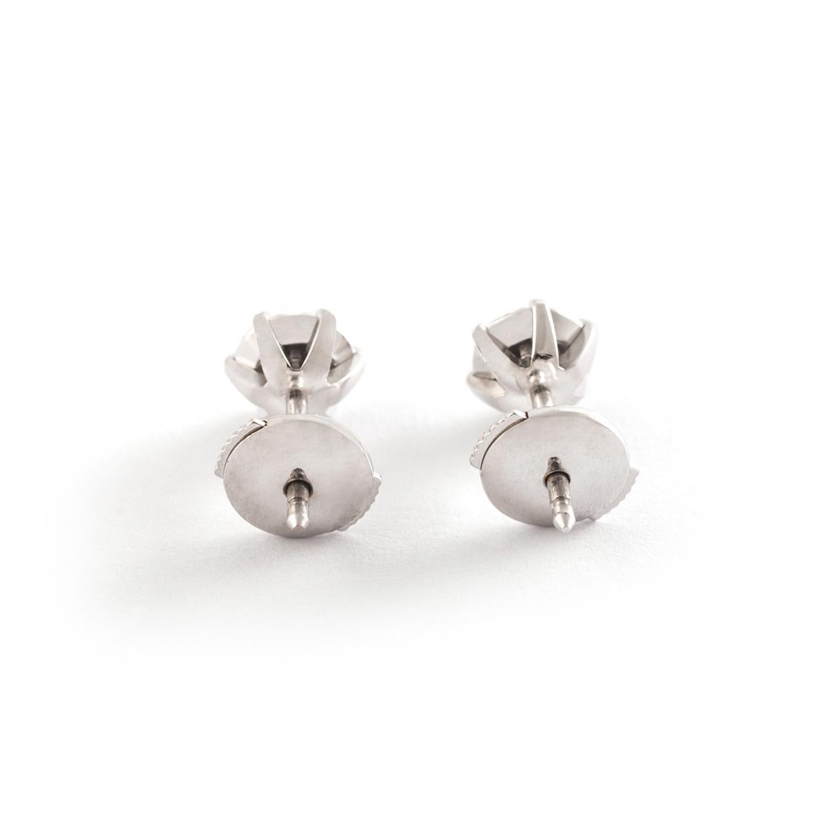 white gold stud earing