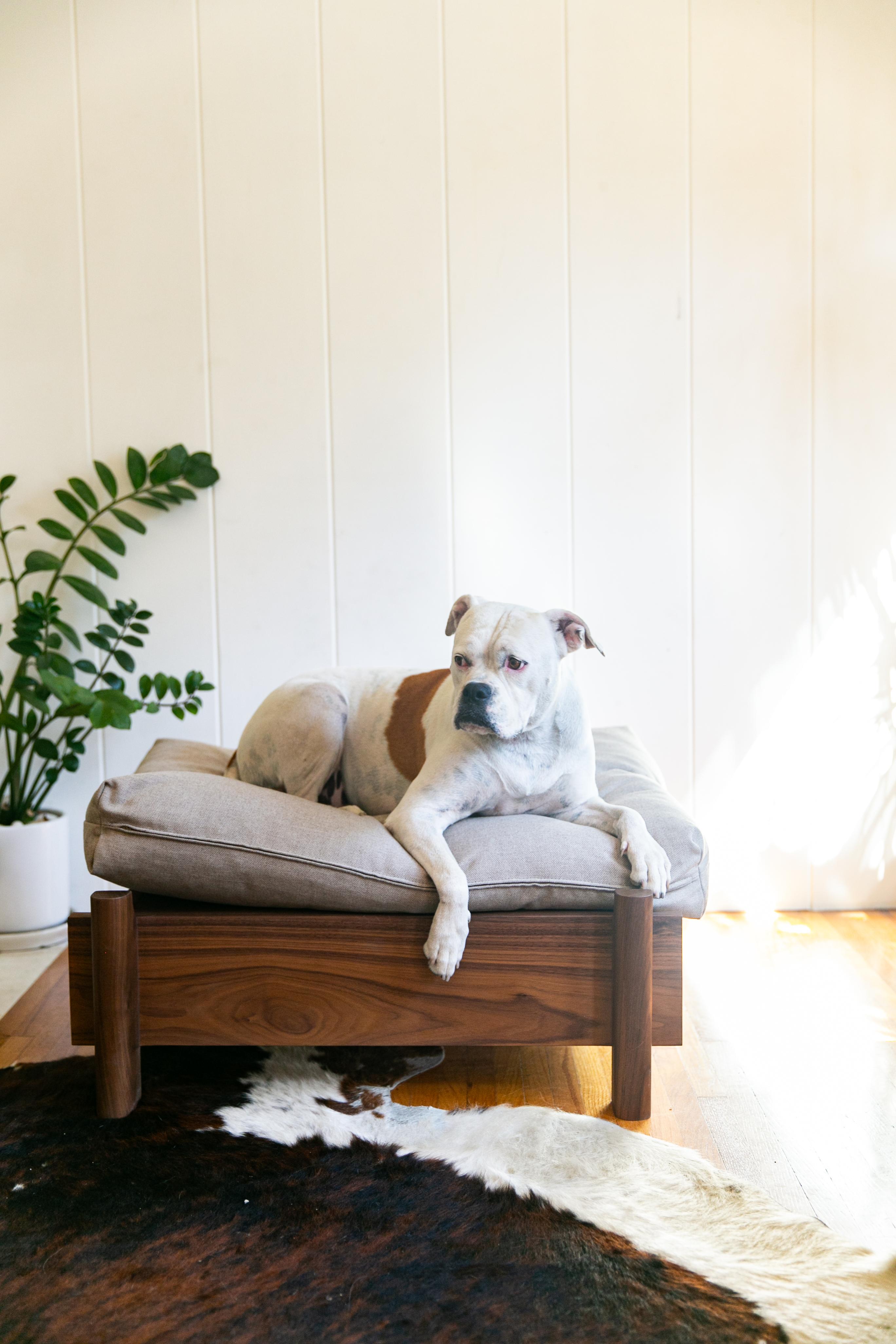 EARL LAPILO Dog Bed For Sale 8