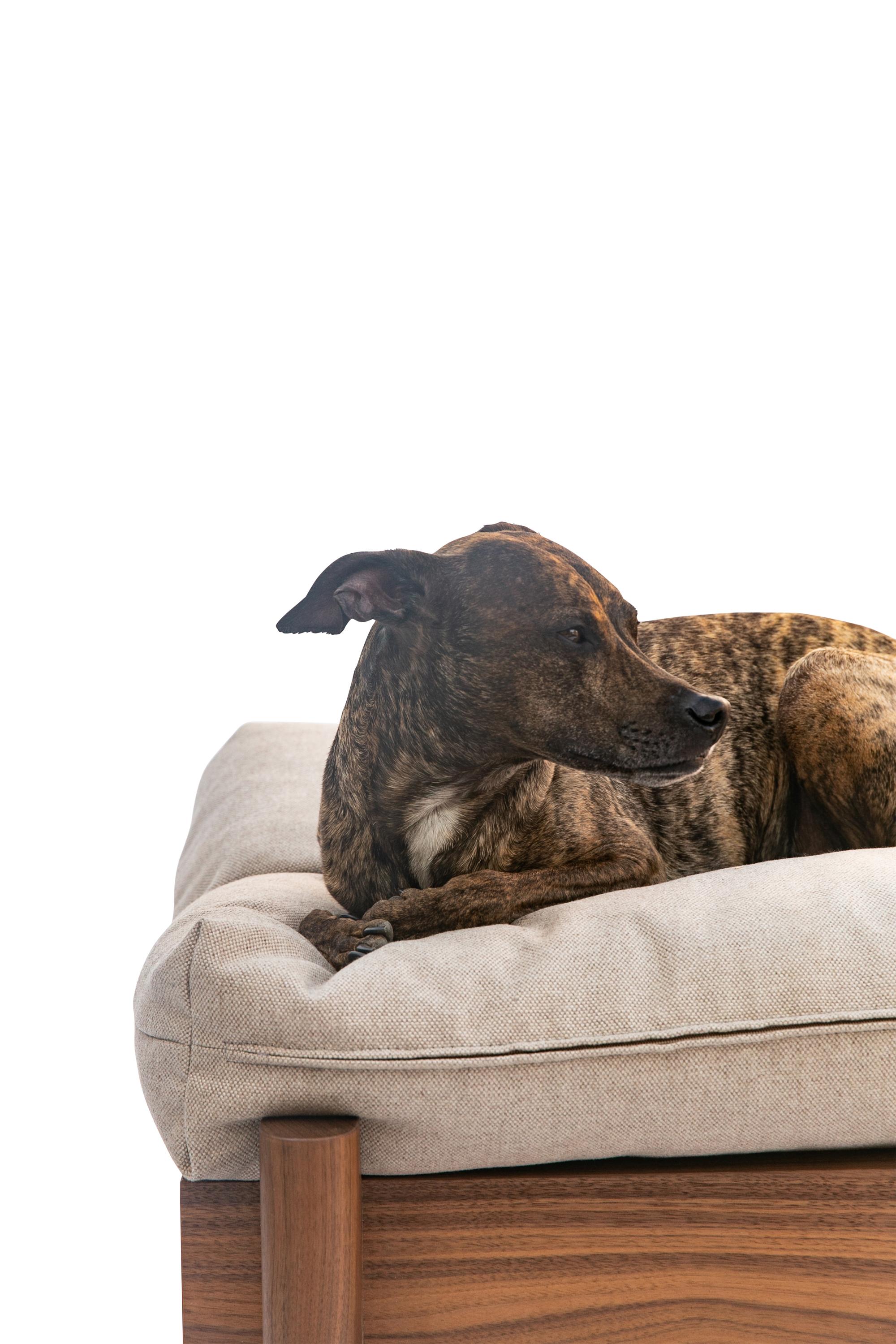 Contemporary EARL LAPILO Dog Bed For Sale