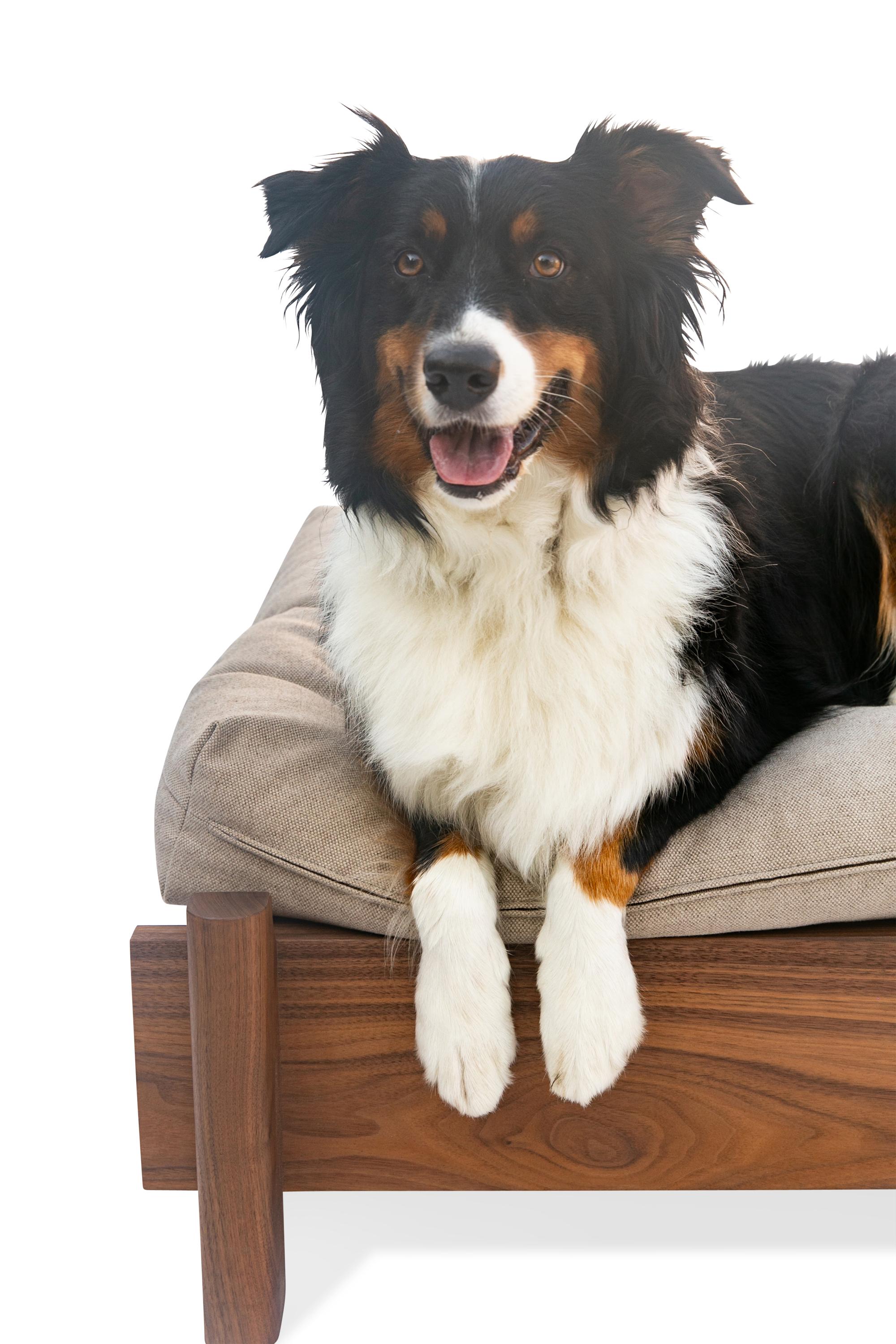 Upholstery EARL LAPILO Dog Bed For Sale