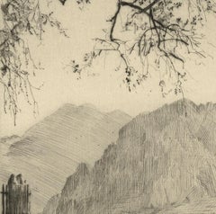 Olive Trees (Lovely landscape in Europe dominated by hills and olive trees)