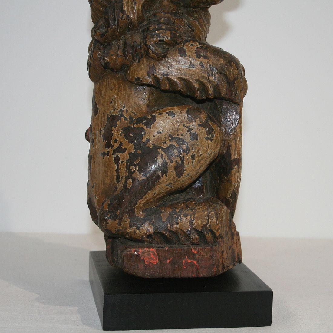 Early 18th Century Carved Wooden Lion 9