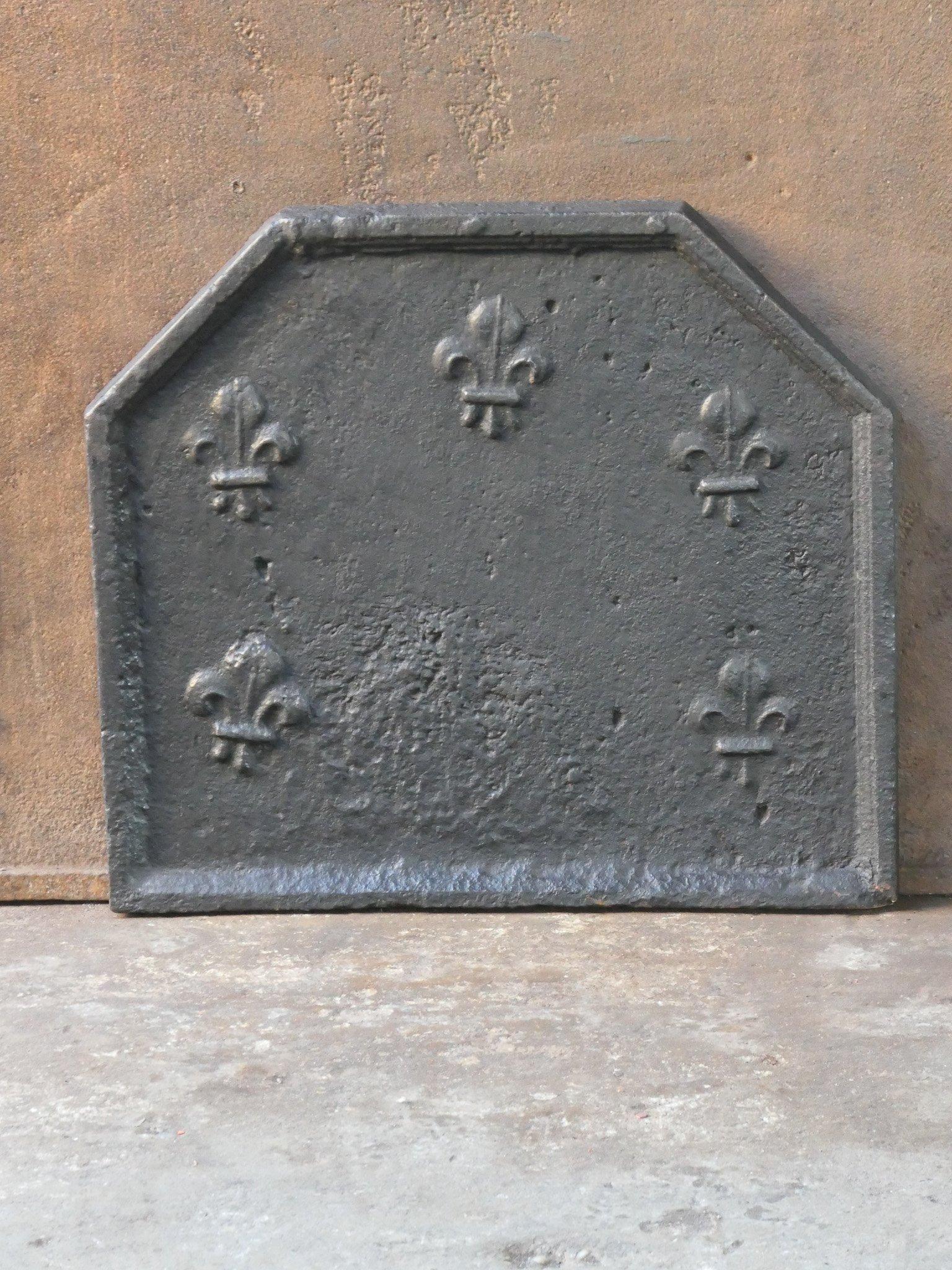 Cast Early 18th Century French Louis XIV Fireback / Backsplash with Fleurs De Lys For Sale