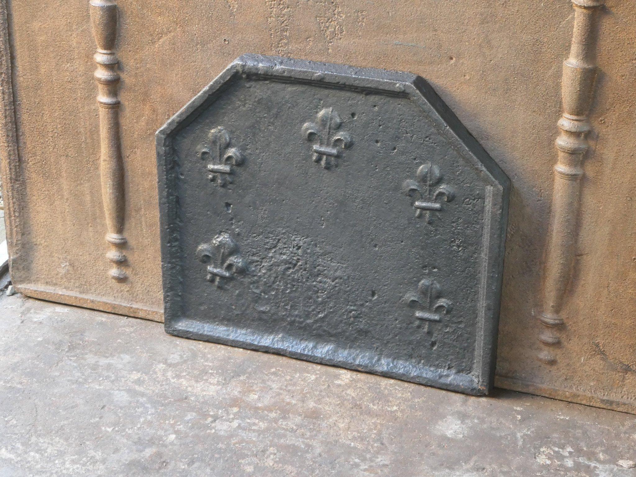Iron Early 18th Century French Louis XIV Fireback / Backsplash with Fleurs De Lys For Sale