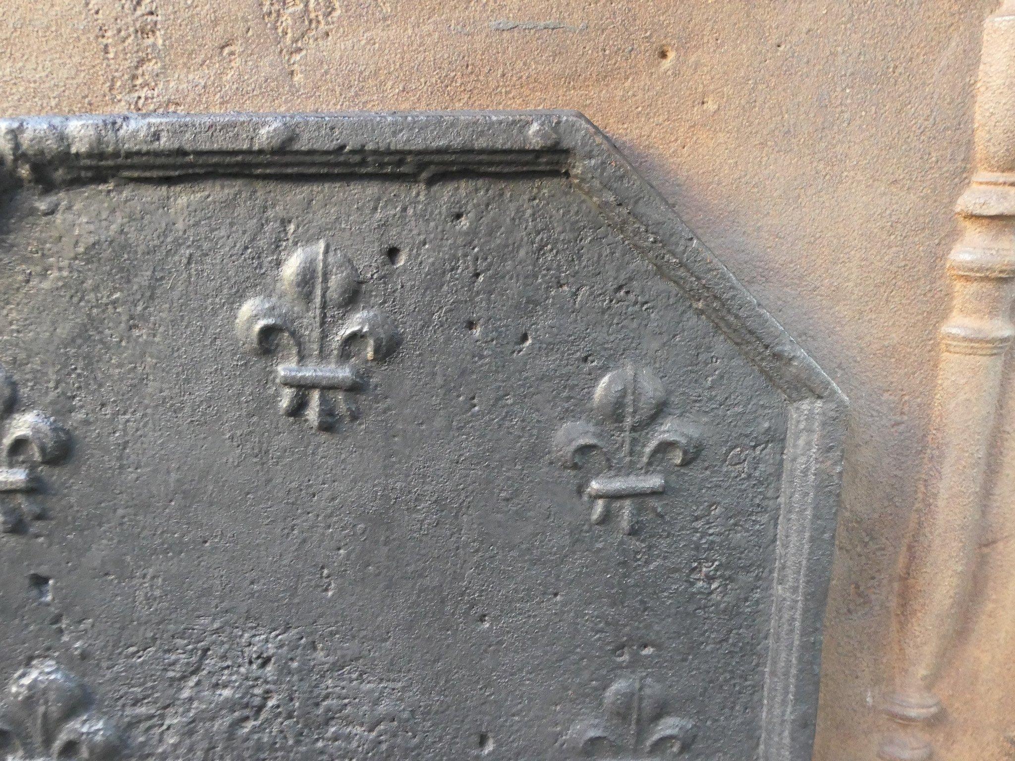Early 18th Century French Louis XIV Fireback / Backsplash with Fleurs De Lys For Sale 2