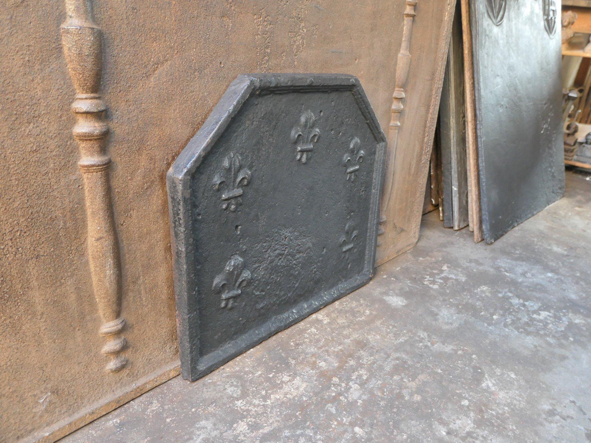 Early 18th Century French Louis XIV Fireback / Backsplash with Fleurs De Lys For Sale 4