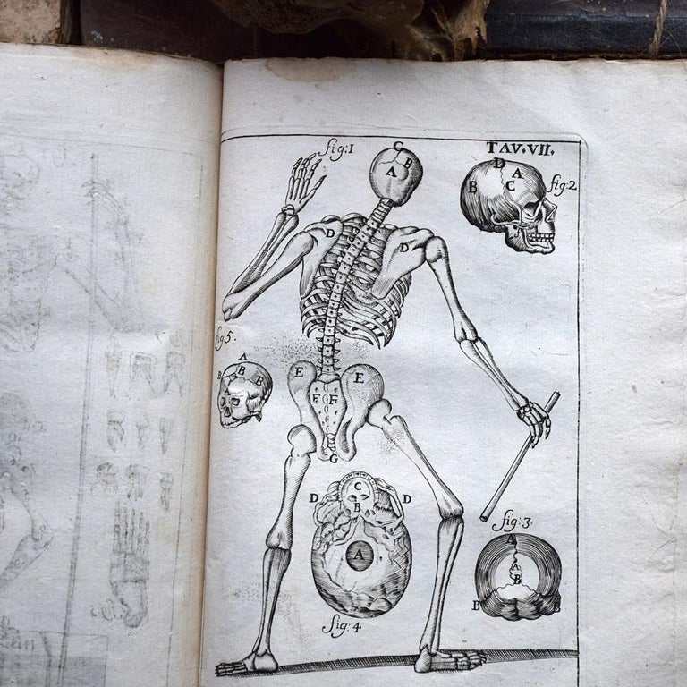 Early 18th Century Human Body Medical Book For Sale at 1stDibs