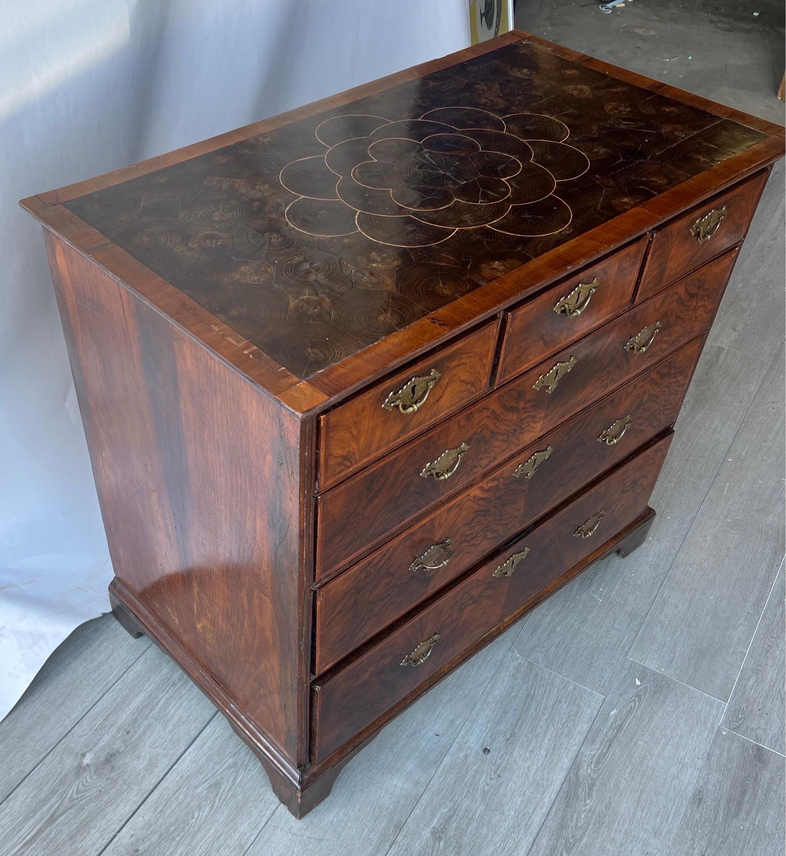 Early 18th century inlaid oyster veneered English chest  In Good Condition In Charleston, SC