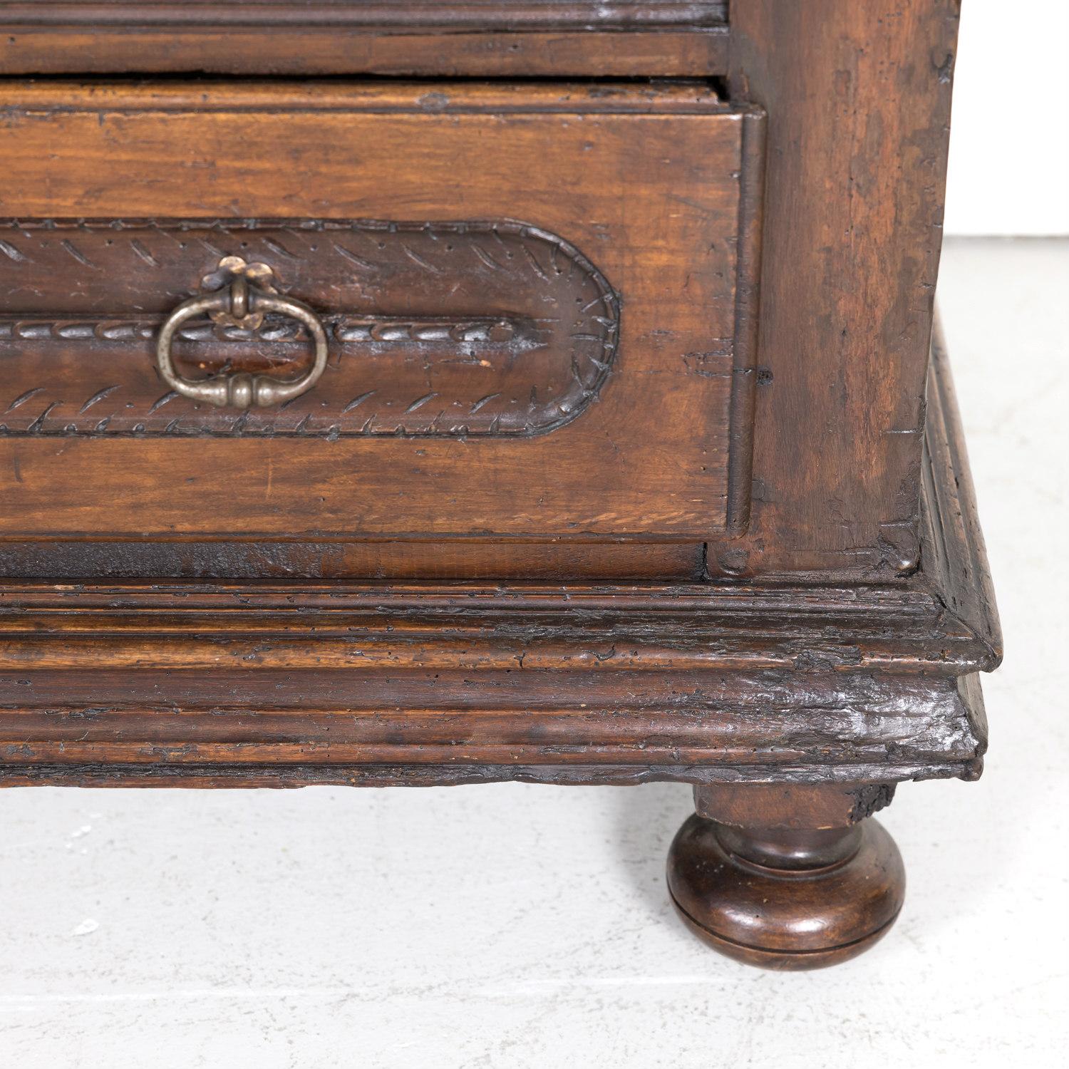 Early 18th Century Louis XIII Style Solid Walnut Coffer or Trunk with Drawer For Sale 8