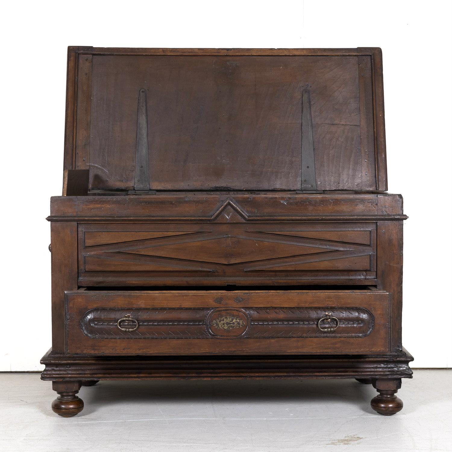 Early 18th Century Louis XIII Style Solid Walnut Coffer or Trunk with Drawer For Sale 2