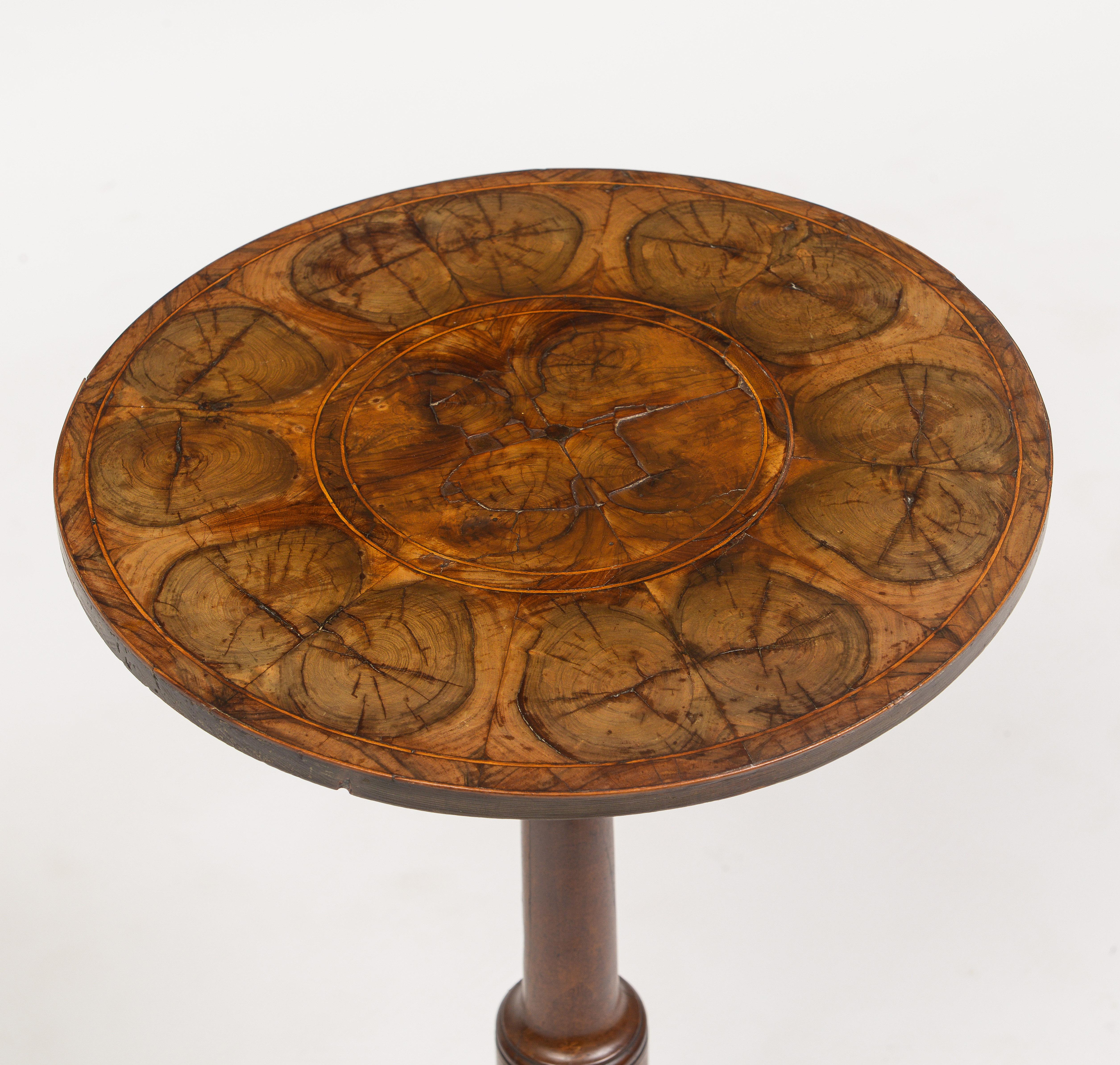 Early 18th Century Oyster Wood Tip Tripod Table For Sale 1