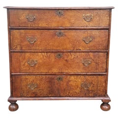 Early 18th Century Queen Anne Burr Oak Chest with Bun Feet, Four Drawers