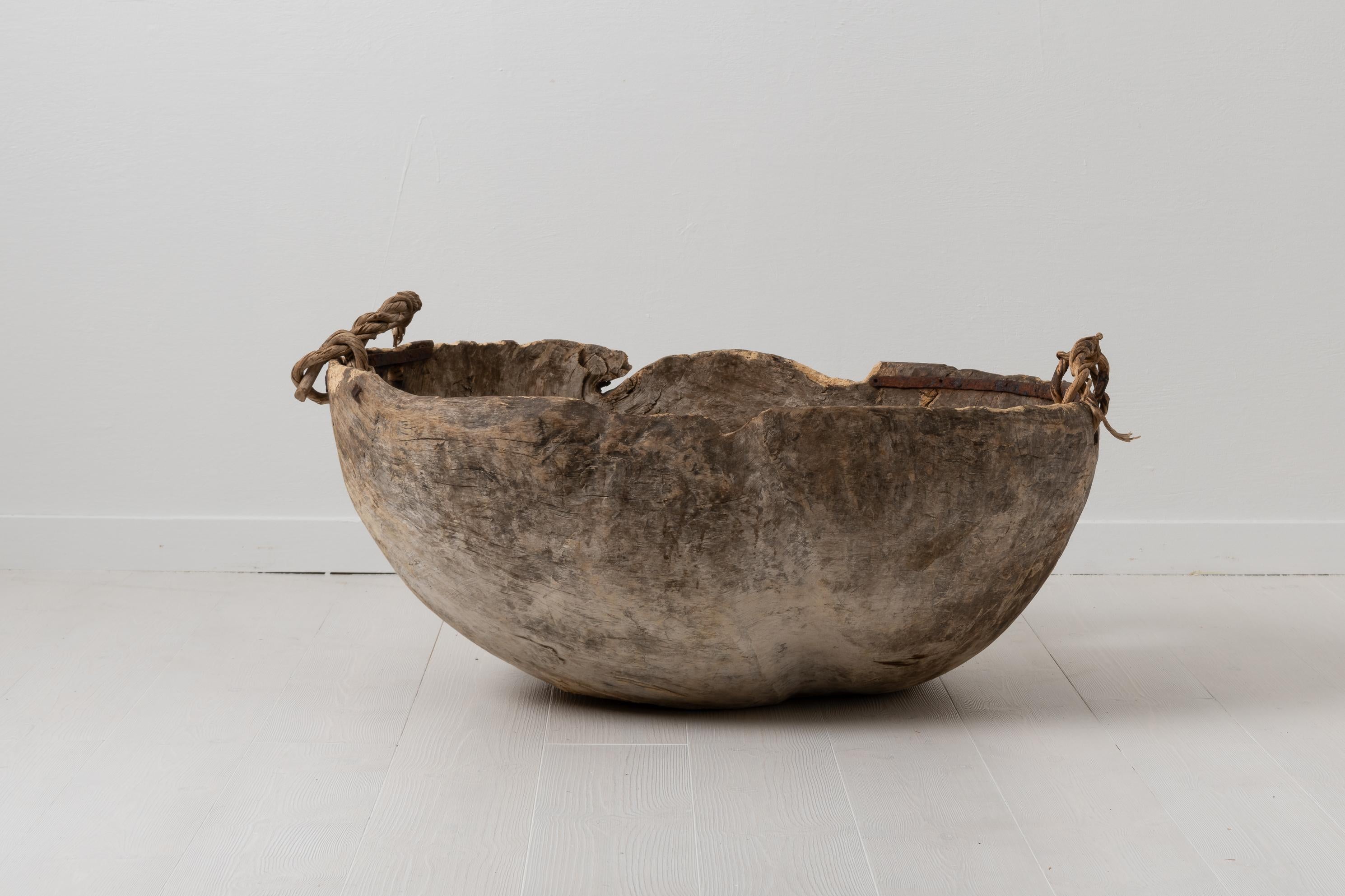 Early 18th Century Swedish Large Primitive Root Bowl In Good Condition In Kramfors, SE