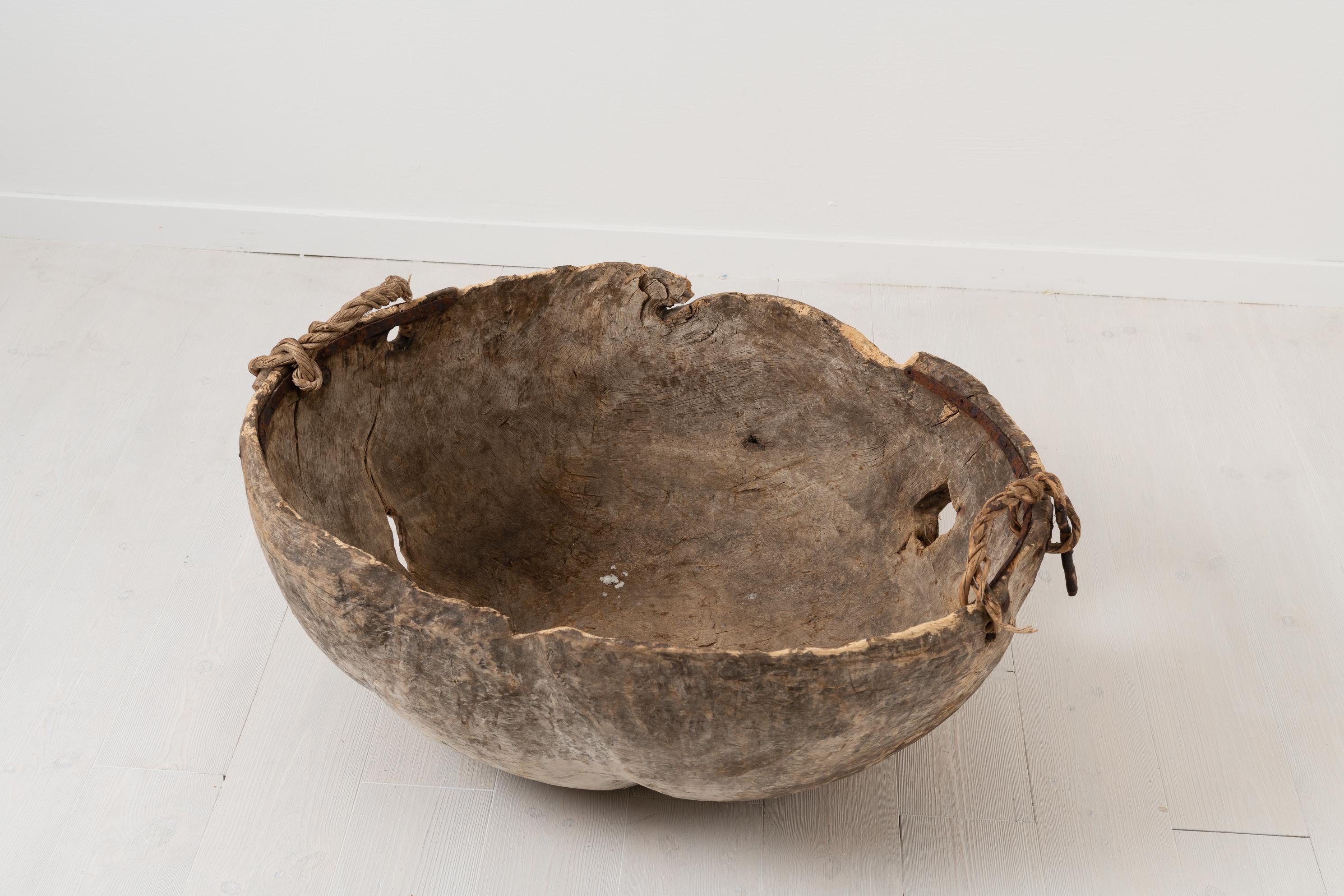 Early 18th Century Swedish Large Primitive Root Bowl 1
