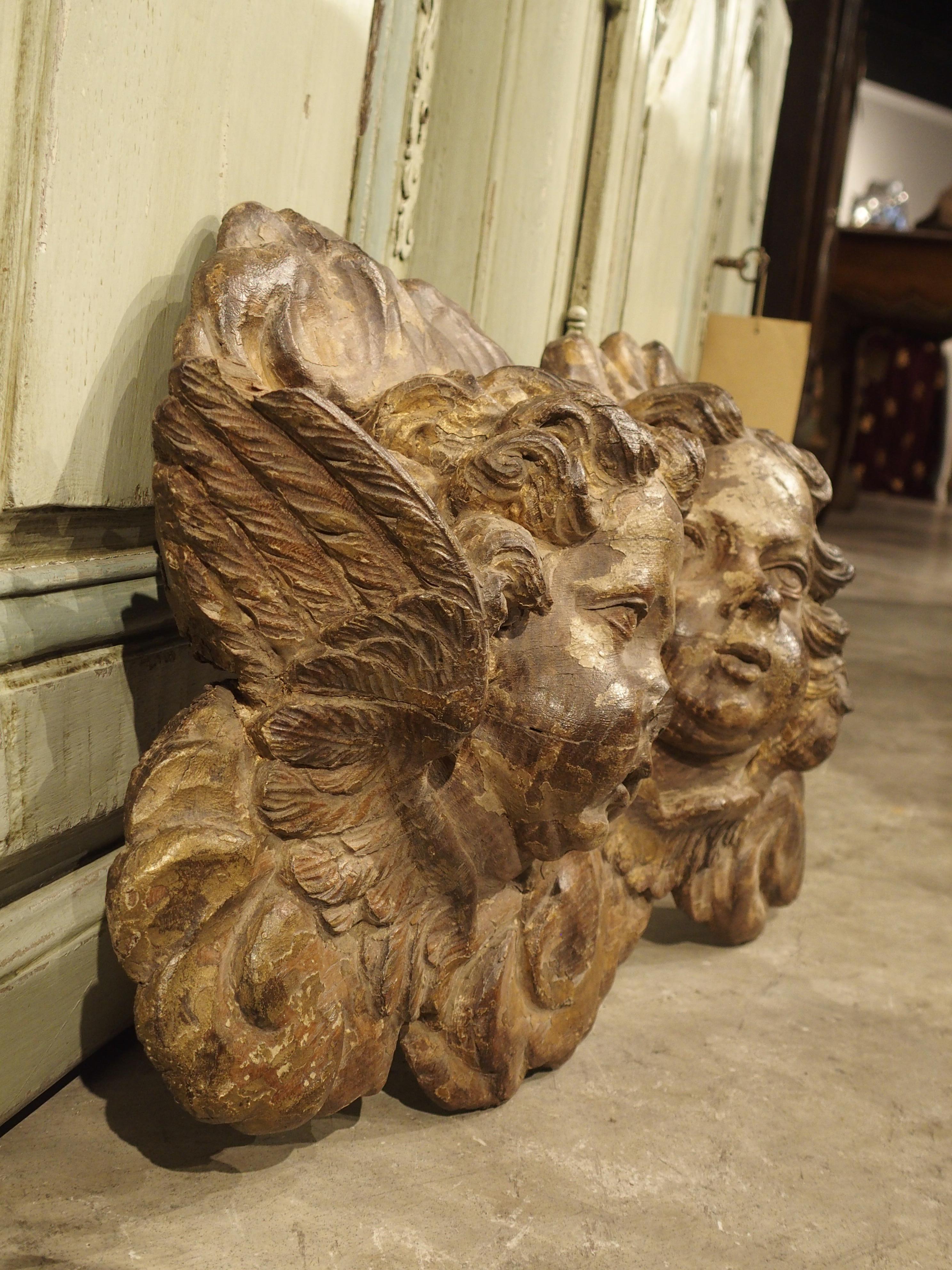 Oak Early 18th Century Winged Putti Carving from Provence, France
