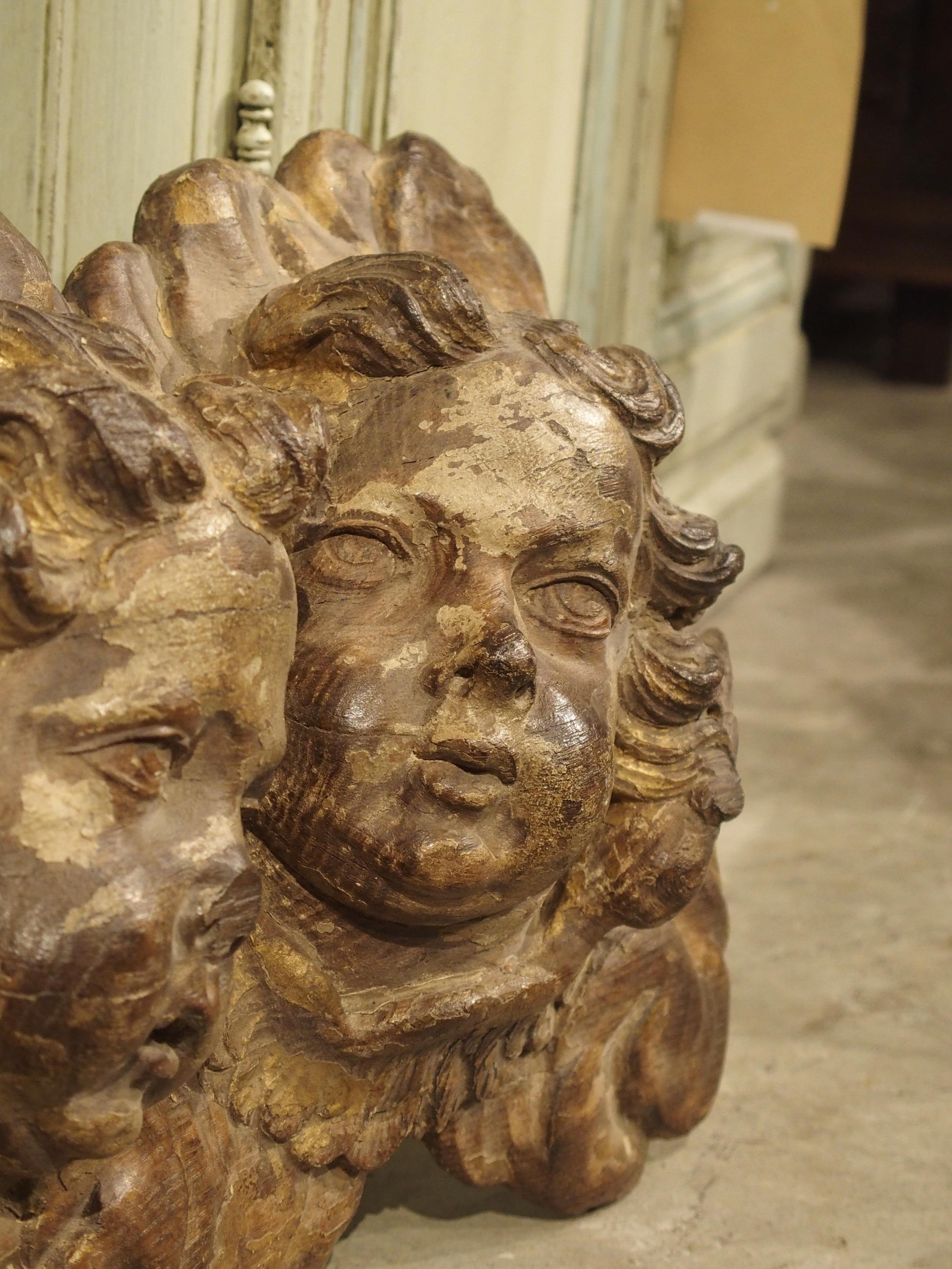 Early 18th Century Winged Putti Carving from Provence, France 1