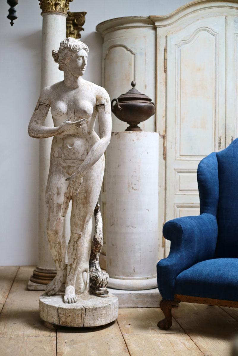 medici venus