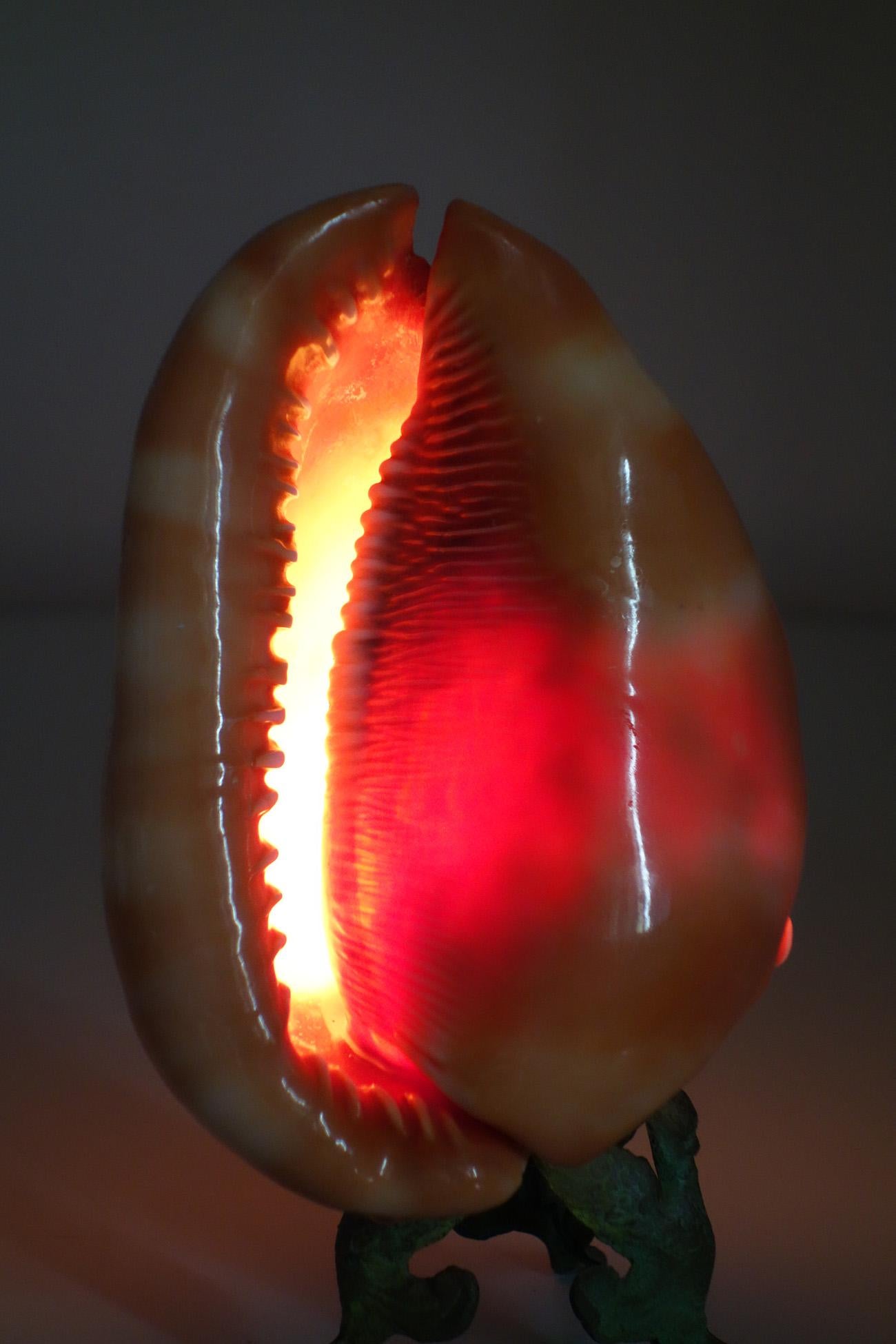 Early 1900 Cameo Shell Lamp Greek Mythology Table Lamp For Sale 4