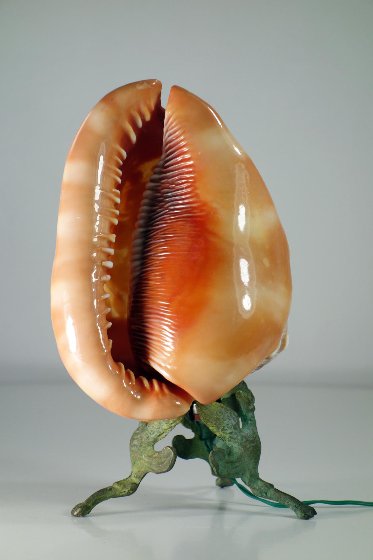 Early 20th Century Early 1900 Cameo Shell Lamp Greek Mythology Table Lamp For Sale