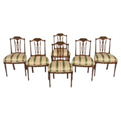 Early 1900s Antique Silk, Set of 6, Edwardian, Paint Decorated Dining Chairs!!