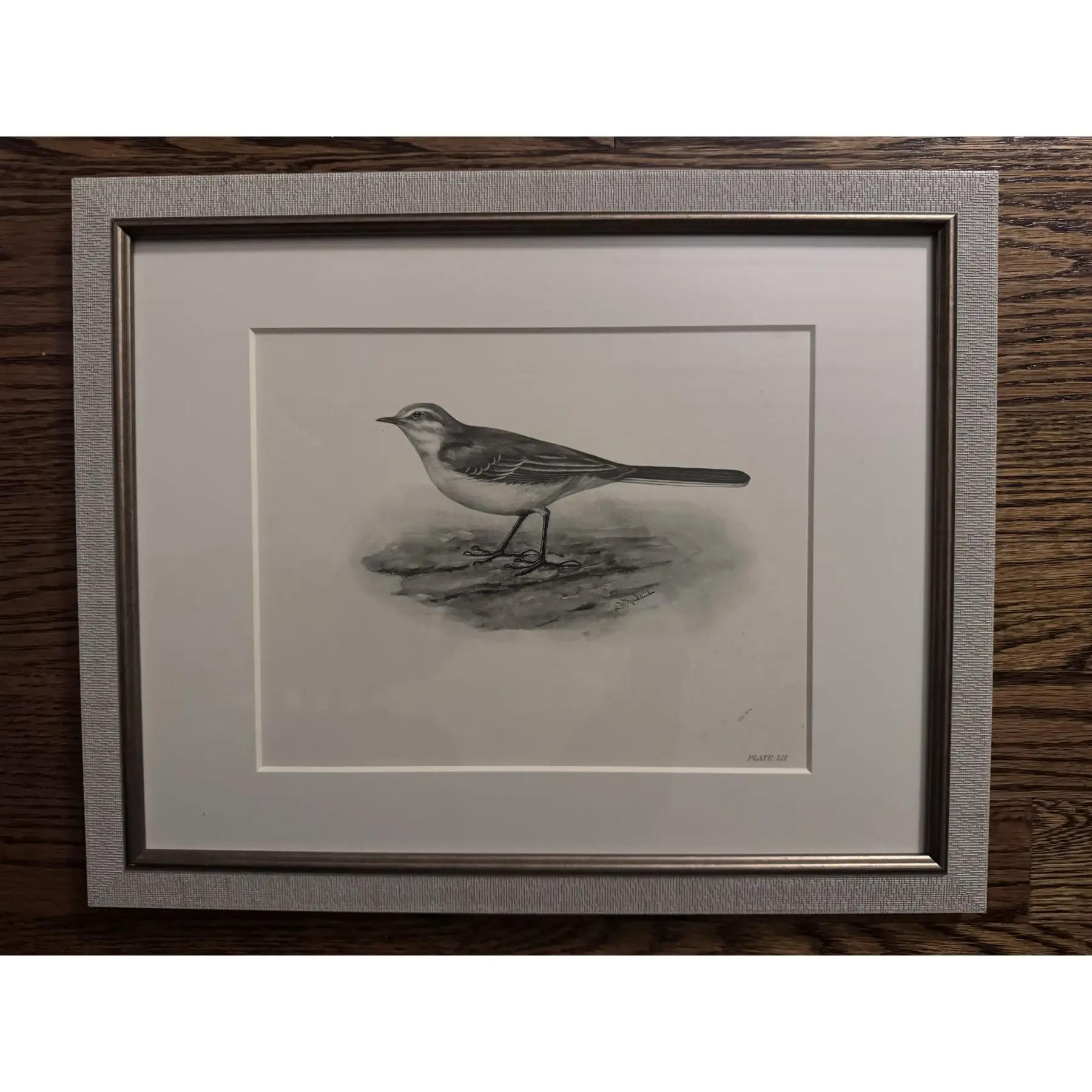 Gravures à l'eau-forte d'oiseaux du début des années 1900 par Lilian Marguerite Medland (1880-1955) - Ensemble de 8 gravures en vente 2
