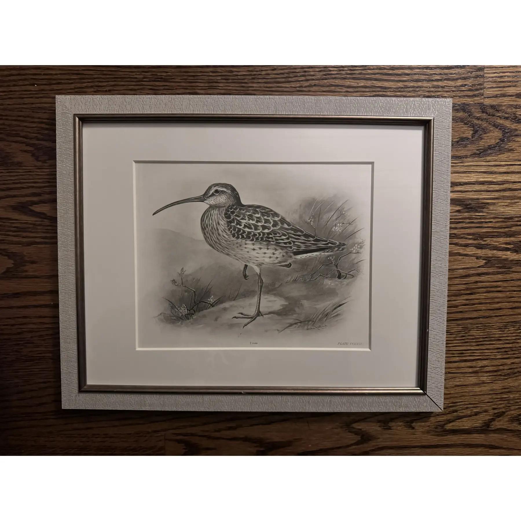 Grand Tour Gravures à l'eau-forte d'oiseaux du début des années 1900 par Lilian Marguerite Medland (1880-1955) - Ensemble de 8 gravures en vente