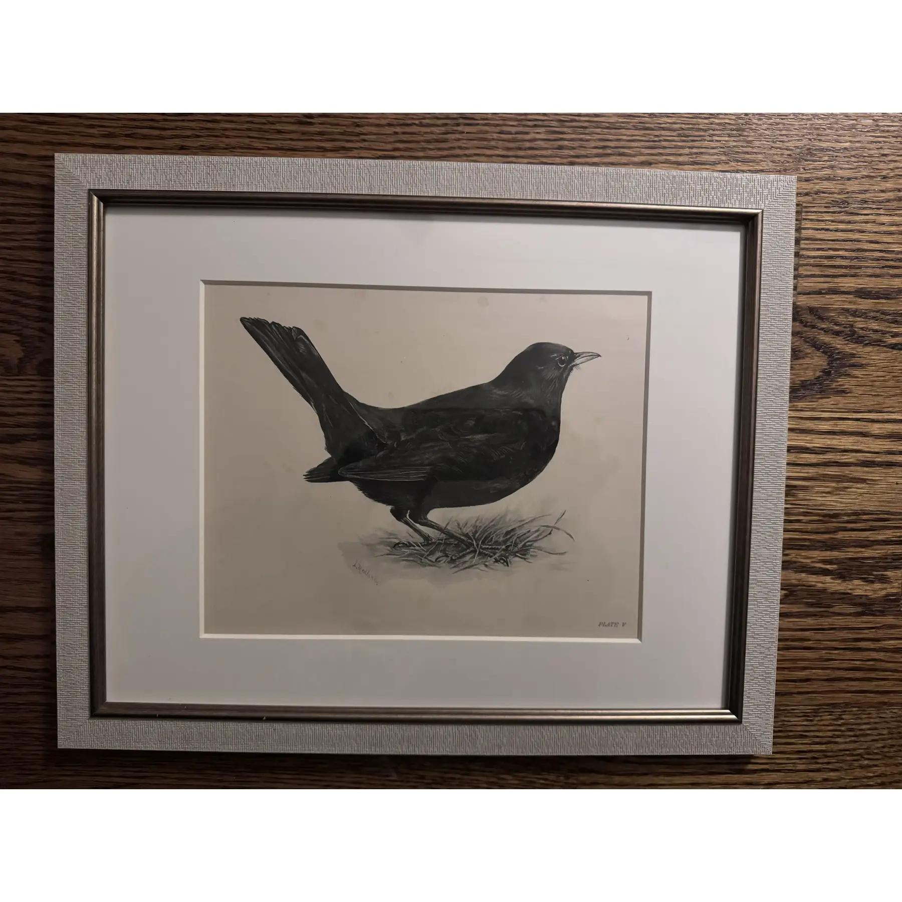 Britannique Gravures à l'eau-forte d'oiseaux du début des années 1900 par Lilian Marguerite Medland (1880-1955) - Ensemble de 8 gravures en vente