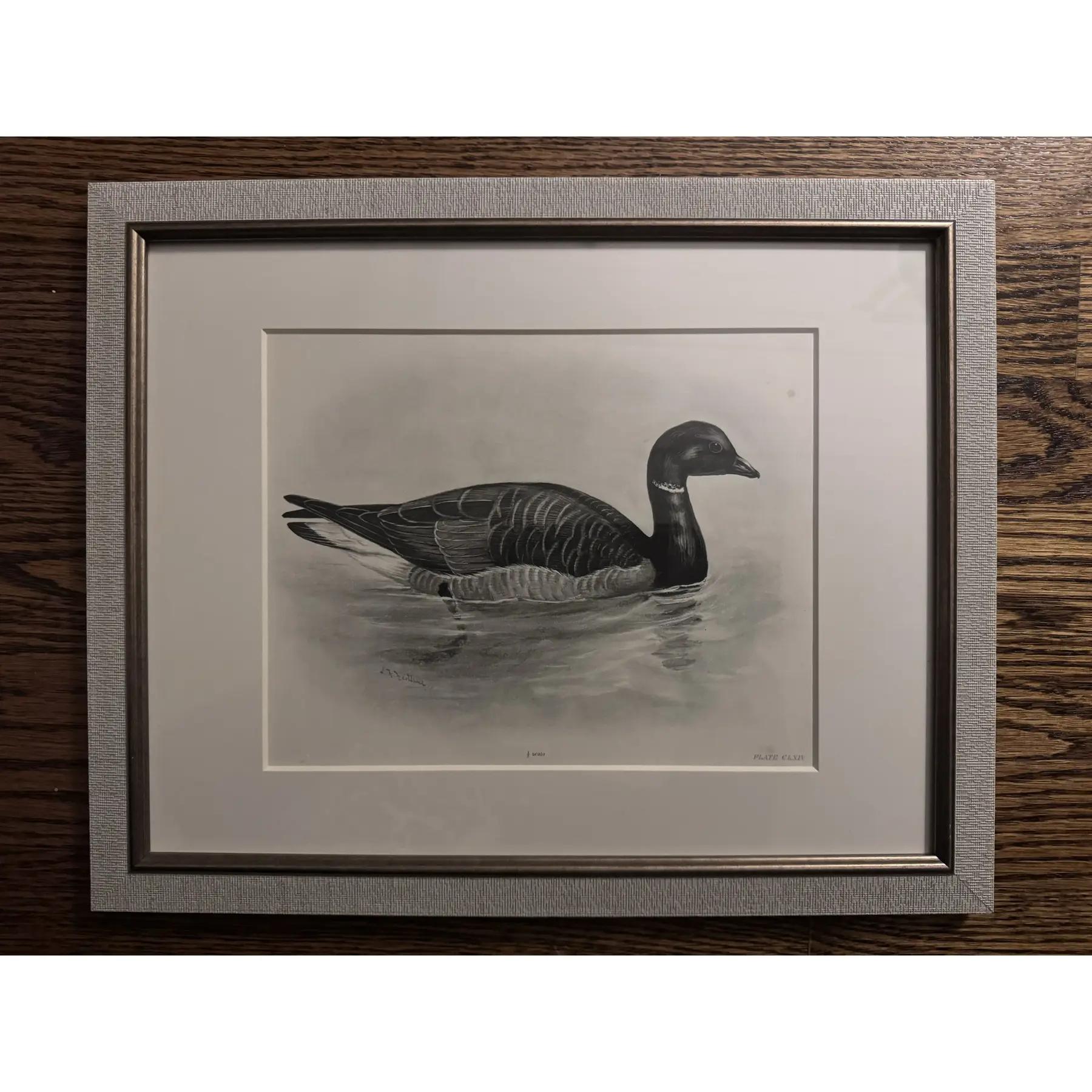 Buriné Gravures à l'eau-forte d'oiseaux du début des années 1900 par Lilian Marguerite Medland (1880-1955) - Ensemble de 8 gravures en vente