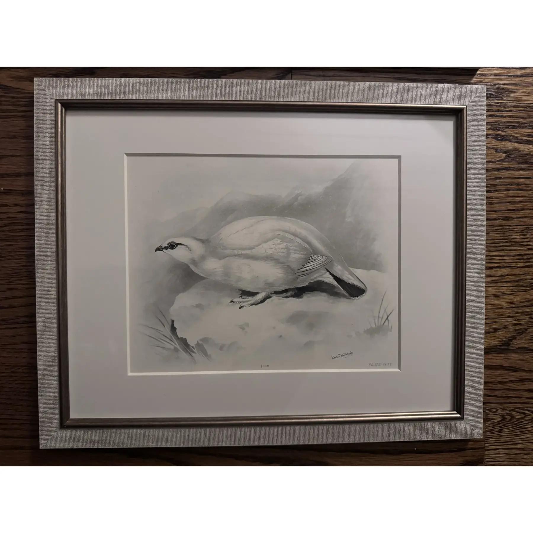 20ième siècle Gravures à l'eau-forte d'oiseaux du début des années 1900 par Lilian Marguerite Medland (1880-1955) - Ensemble de 8 gravures en vente