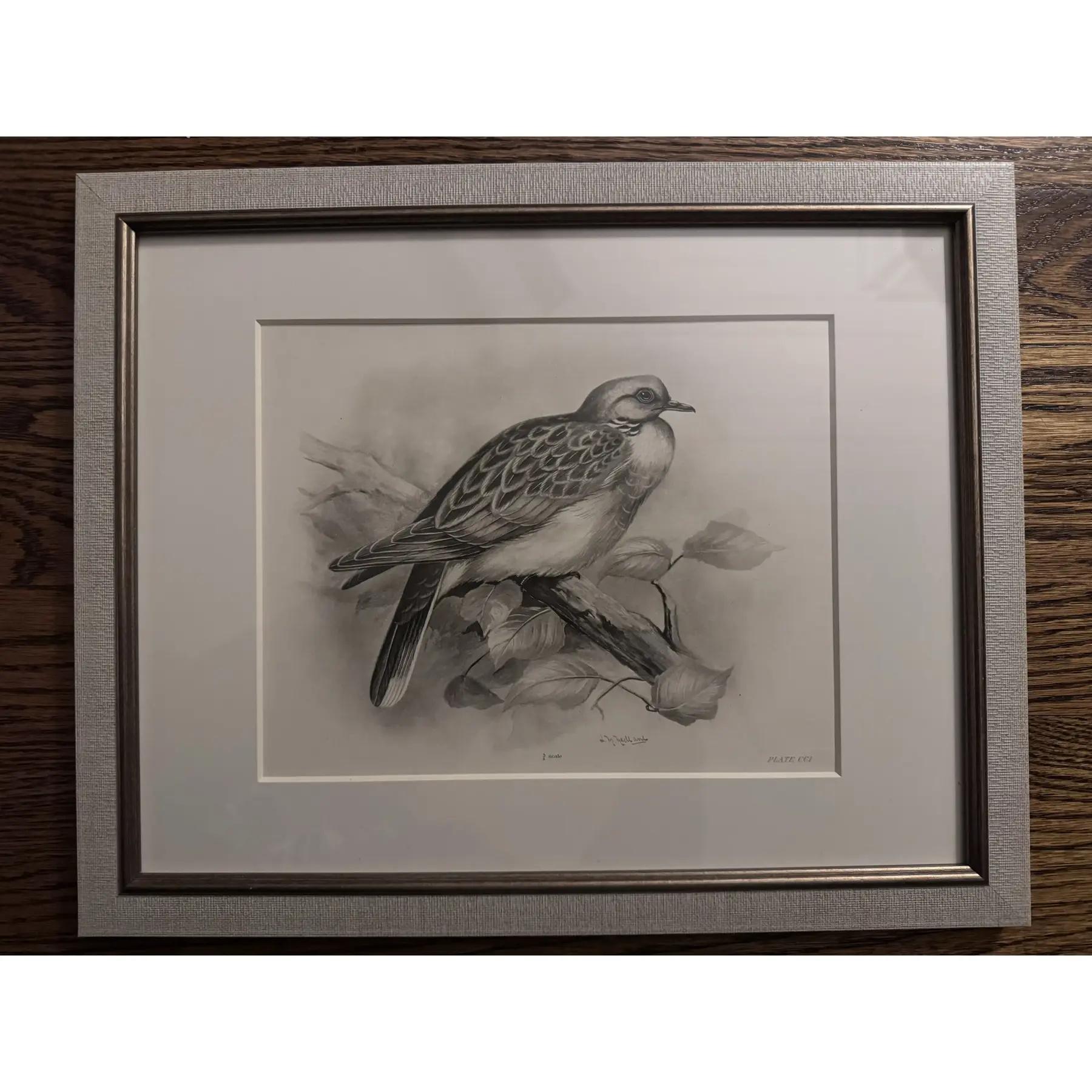 Gravures à l'eau-forte d'oiseaux du début des années 1900 par Lilian Marguerite Medland (1880-1955) - Ensemble de 8 gravures en vente 1