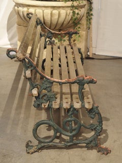 Early 1900s Cast Iron and Wood Bench with Dog Head and Serpent Supports