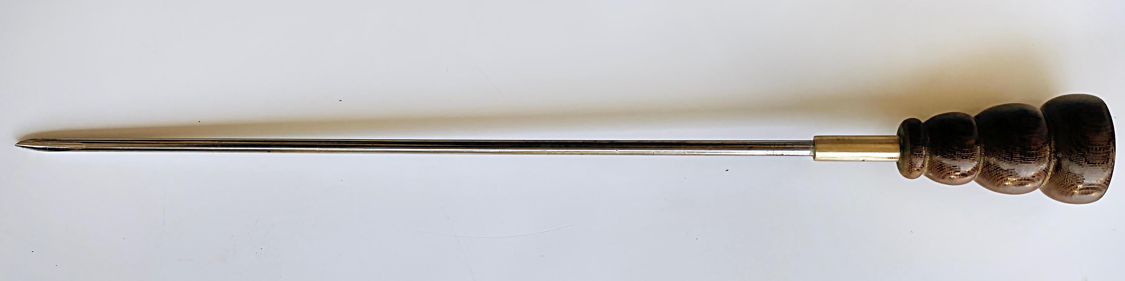 20th Century Early 1900s Czech Republic Dagger Walking Stick with Brass Lion Emblem Handle