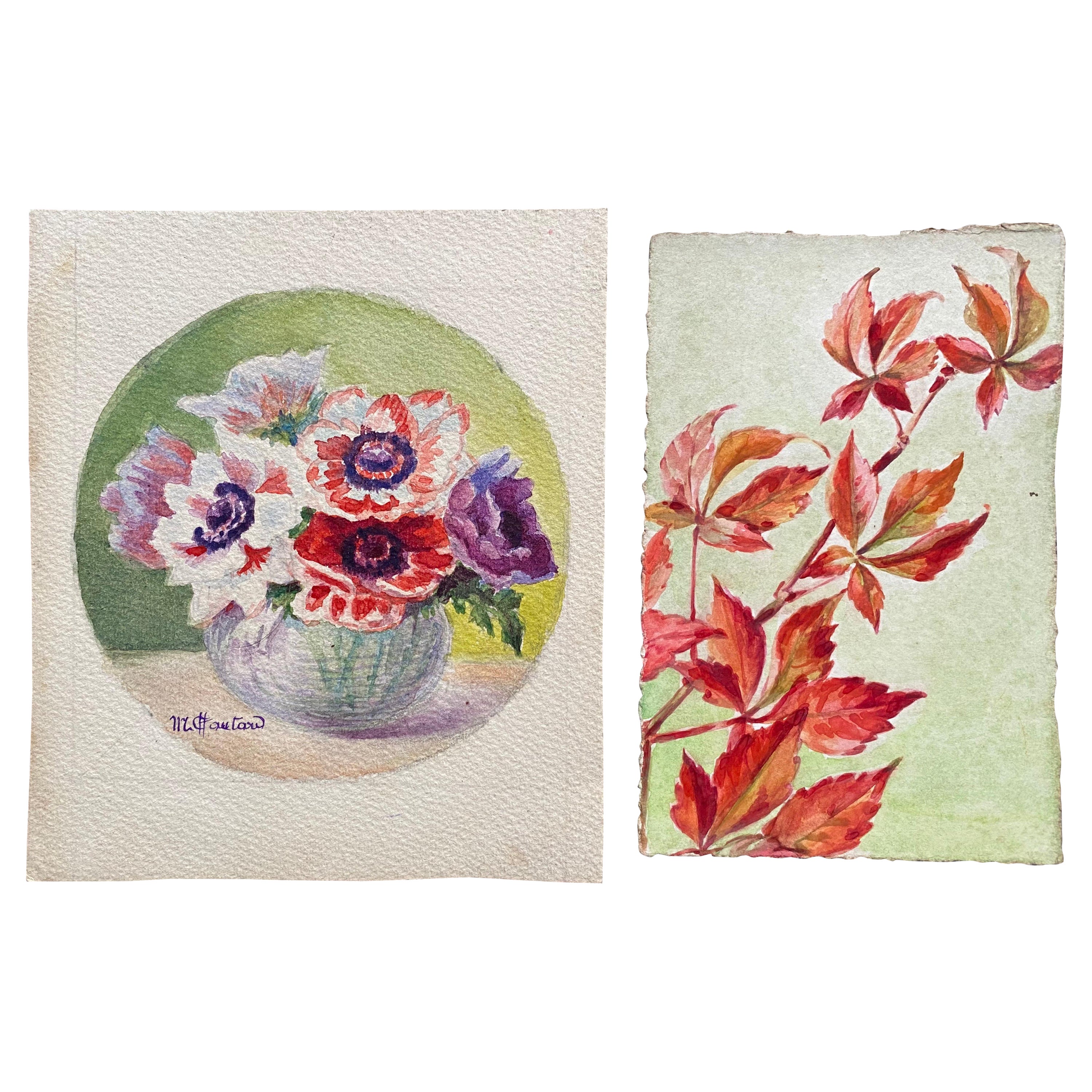 Französische impressionistische Blumen-Aquarelle der frühen 1900er Jahre, signiert Marie Carreau