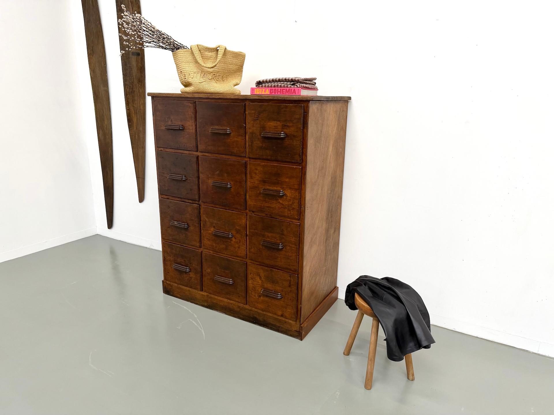 Francese Armadio da laboratorio francese dei primi del '900 con 12 cassetti. in vendita