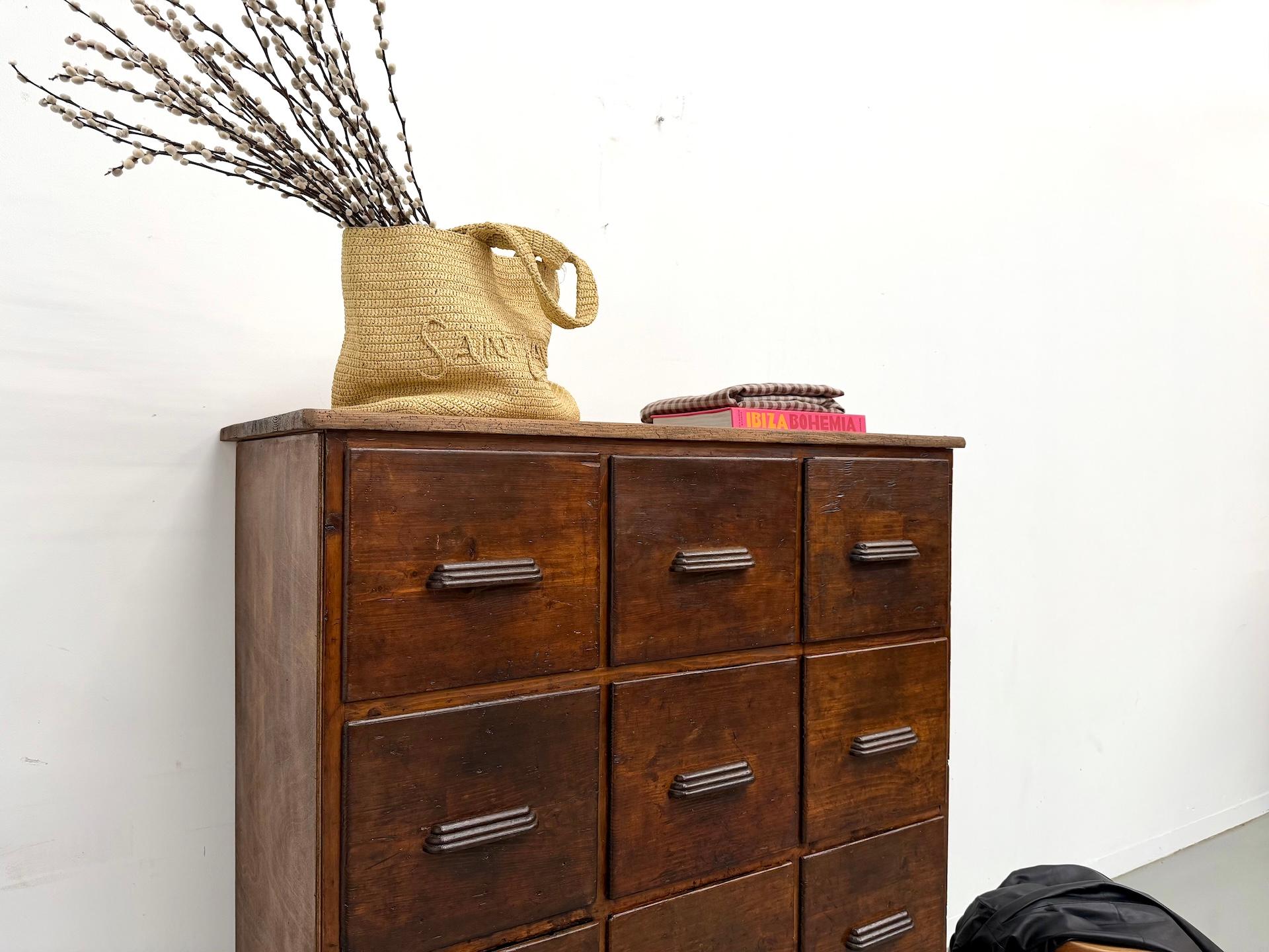 Armadio da laboratorio francese dei primi del '900 con 12 cassetti. In condizioni buone in vendita a LYON, FR