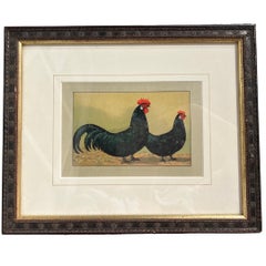 Early 1900s Kramer Poultry Chromolithograph, Framed