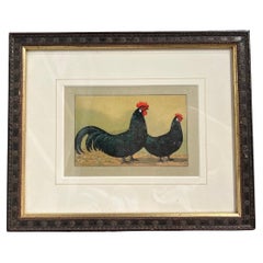 Antique Early 1900s Kramer Poultry Chromolithograph, Framed